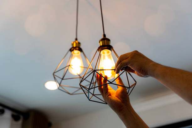 Best Ceiling Fan Installation Electrician  in Lamont, MI
